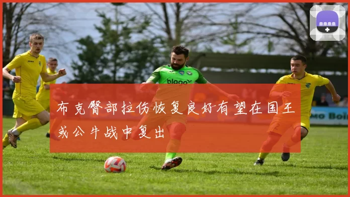 布克臀部拉伤恢复良好有望在国王或公牛战中复出